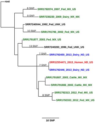 Human-to-Cattle Mycobacterium tuberculosis Complex Transmission in the United States